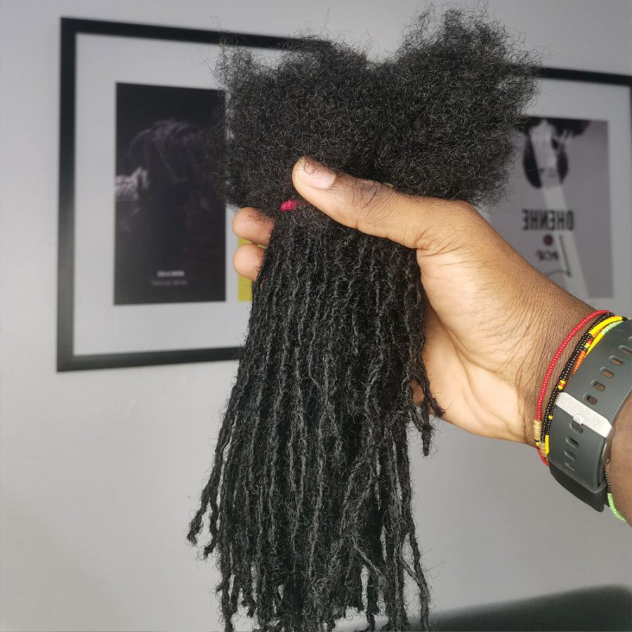 Tinny Locs Extension